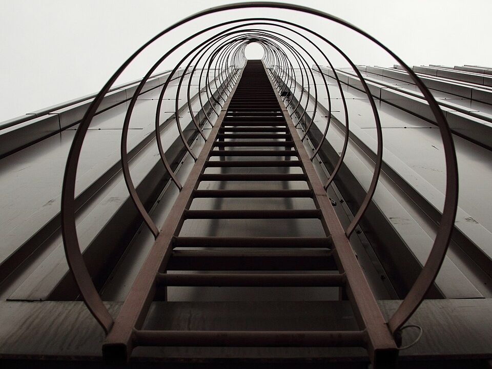 Caged vertical access ladder