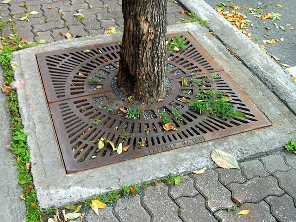 Cast metal tree grille set into paving